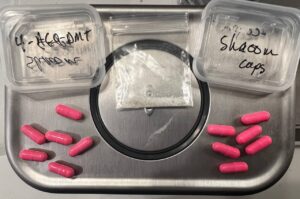 4-AcO-DMT (Acetylpsilocin)