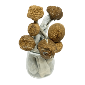 White Jedi Mind Fuck